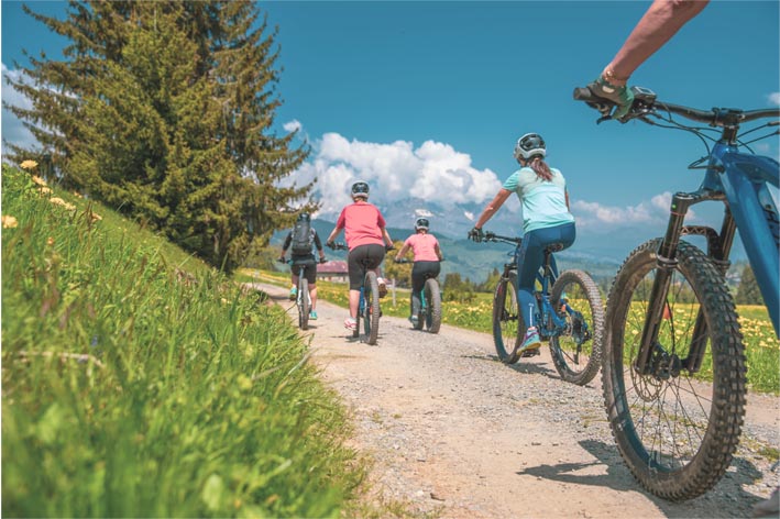 Rando VTT electrique