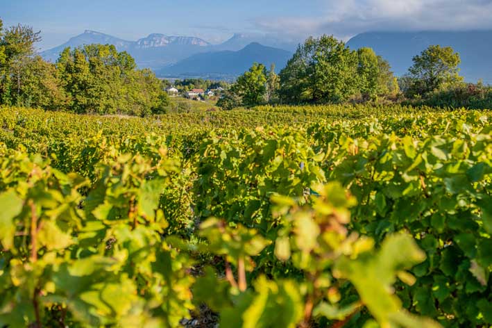 Séminaire d’entreprise en automne