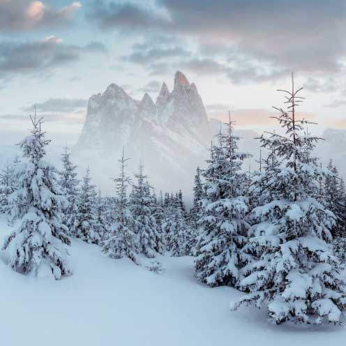 hiver