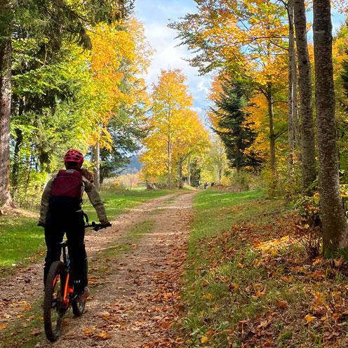 velo-automne